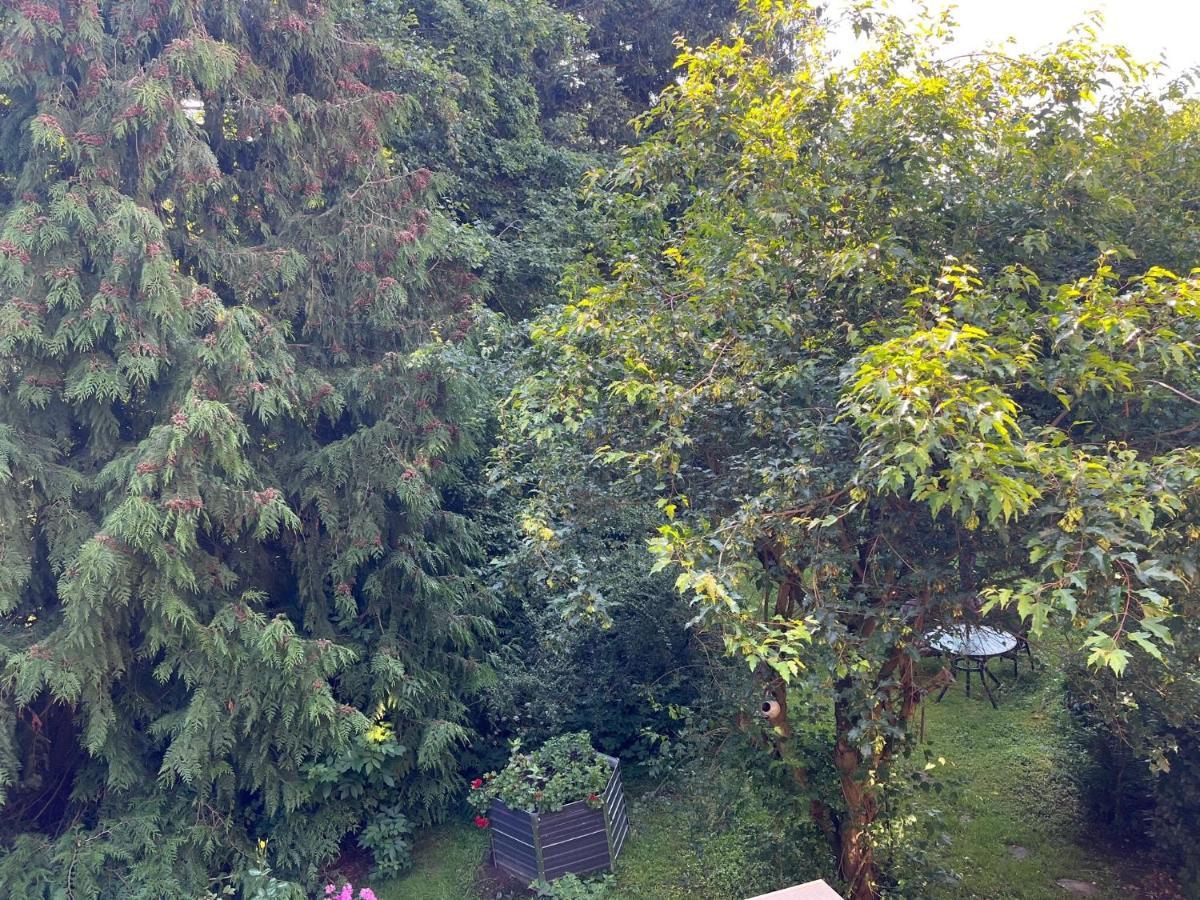 Apartament Forsthaus Neudorf Harzgerode Zewnętrze zdjęcie